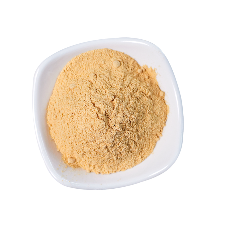 Polvere di carota disidratata